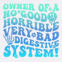 Owner Of A No Good Horrible Very Bad Digestive System Garment-Dyed Sweatshirt