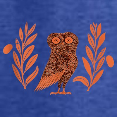Owl Of Athena T-Shirt