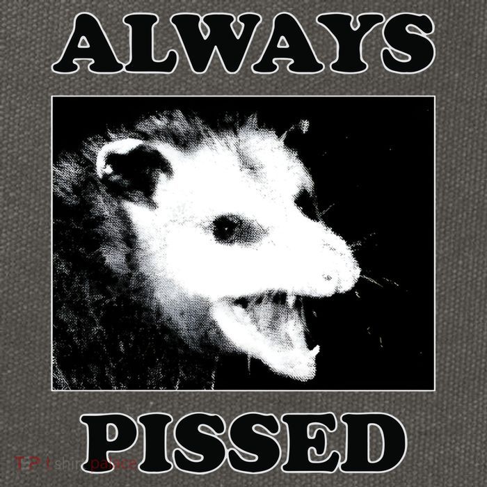Opossum Opossum Always Pissed Cotton Canvas Backpack