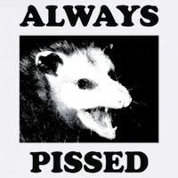 Opossum Opossum Always Pissed Bucket Hat