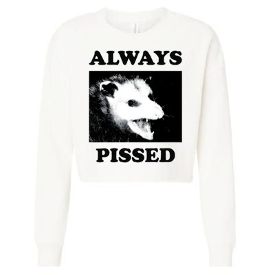 Opossum Opossum Always Pissed Cropped Pullover Crew