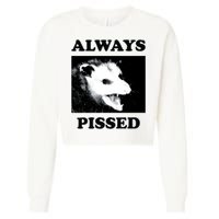 Opossum Opossum Always Pissed Cropped Pullover Crew