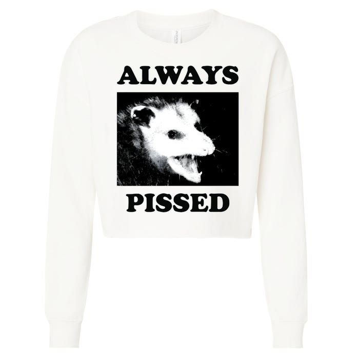 Opossum Opossum Always Pissed Cropped Pullover Crew