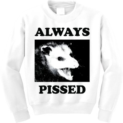 Opossum Opossum Always Pissed Kids Sweatshirt