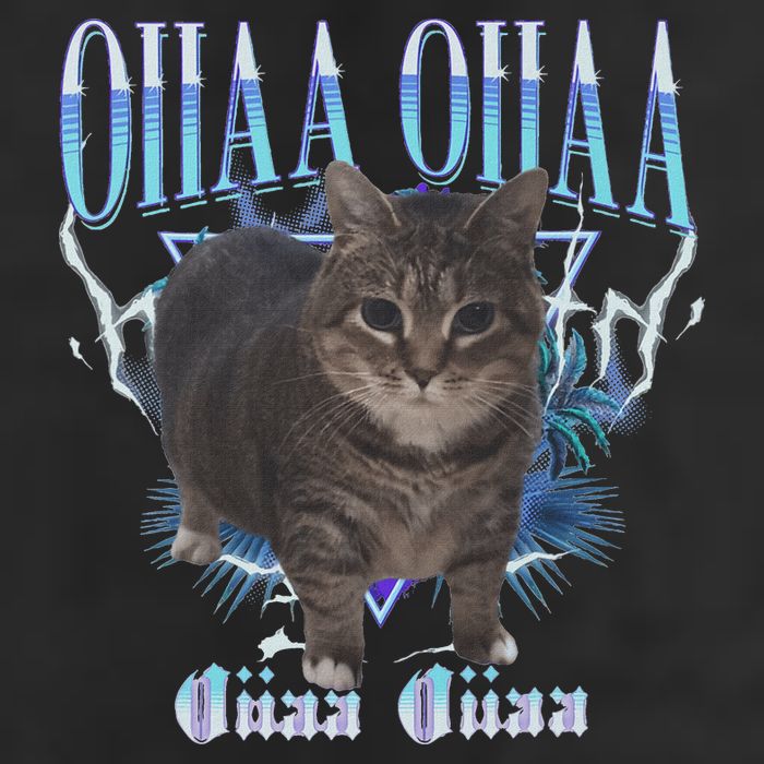 Oiia Oiia Cat Brainrot 25L Jumbo Tote