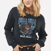 Oiia Oiia Cat Brainrot Cropped Pullover Crew