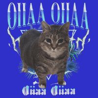 Oiia Oiia Cat Brainrot T-Shirt