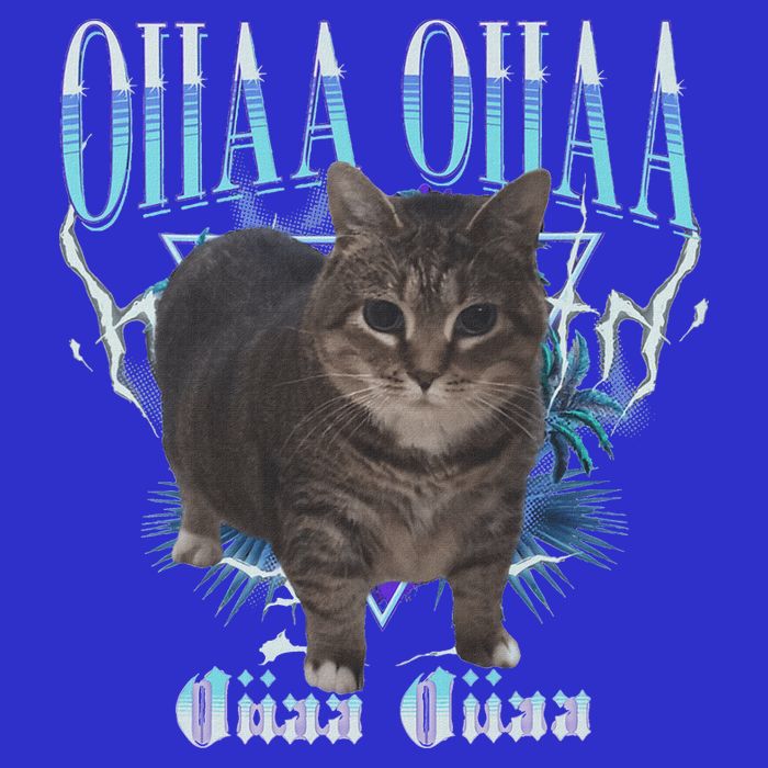 Oiia Oiia Cat Brainrot T-Shirt