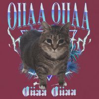 Oiia Oiia Cat Brainrot 16oz Travel Tumbler