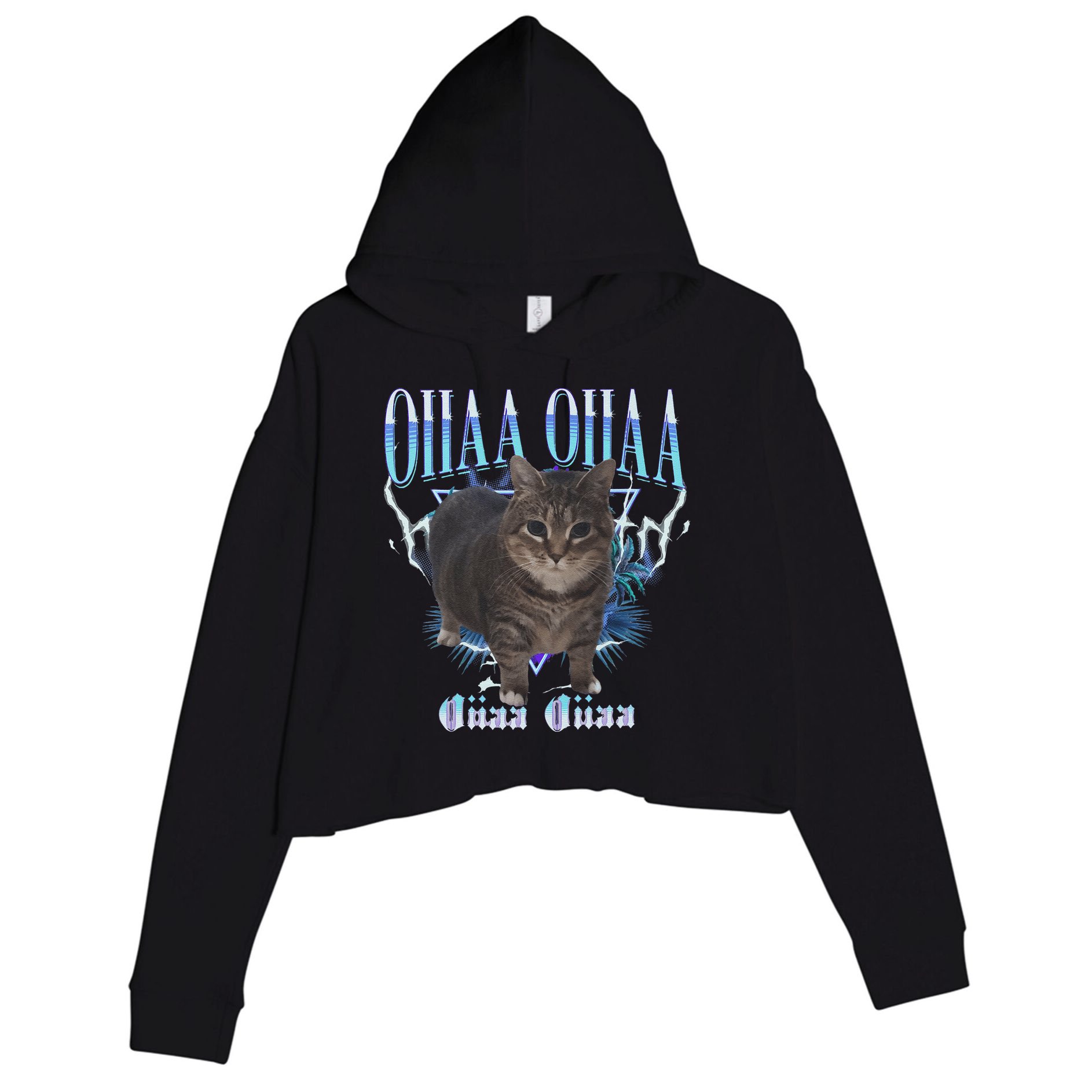 Oiia Oiia Cat Brainrot Crop Fleece Hoodie