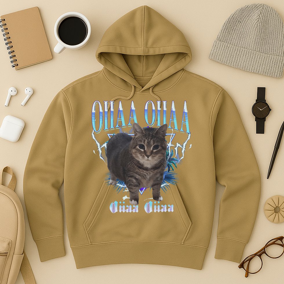 Oiia Oiia Cat Brainrot Hoodie