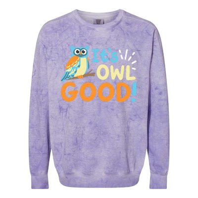 Owl Owls ItS Owl Good Colorblast Crewneck Sweatshirt