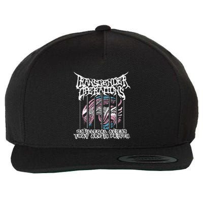 Operations On Illegal Aliens That Are In Prison Wool Snapback Cap