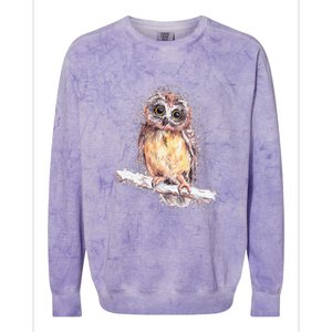 Owl Owl Owl Lover Tee Owl Gift Owl Colorblast Crewneck Sweatshirt