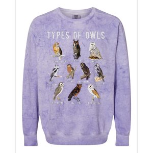 Owl Owl Owl Lover Tee Owl Gift Owl Colorblast Crewneck Sweatshirt