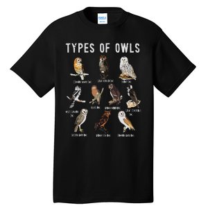 Owl Owl Owl Lover Tee Owl Gift Owl Tall T-Shirt