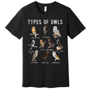 Owl Owl Owl Lover Tee Owl Gift Owl Premium T-Shirt