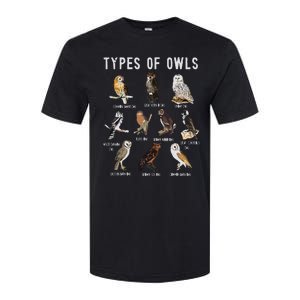 Owl Owl Owl Lover Tee Owl Gift Owl Softstyle CVC T-Shirt