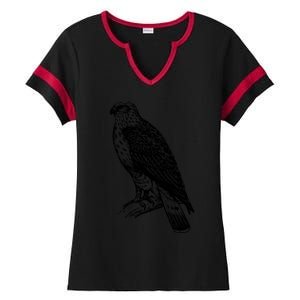 Ornithology Ladies Halftime Notch Neck Tee