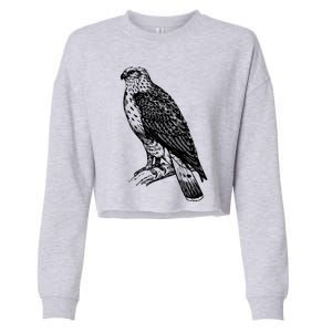 Ornithology Cropped Pullover Crew