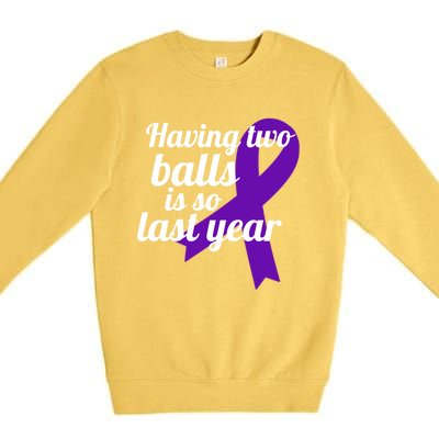 Orchidectomy Operation Survivor Funny Testicular Cancer Cool Gift Premium Crewneck Sweatshirt