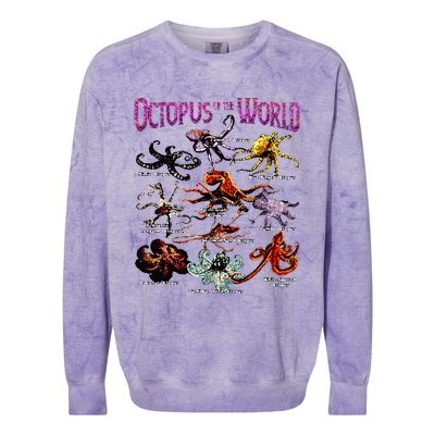 Octopus Of The World Sea Animal Educational Colorblast Crewneck Sweatshirt