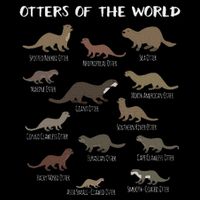 Otters Of The World Sea Otter Giant Otter Educational Gift Cooling Performance Crew T-Shirt