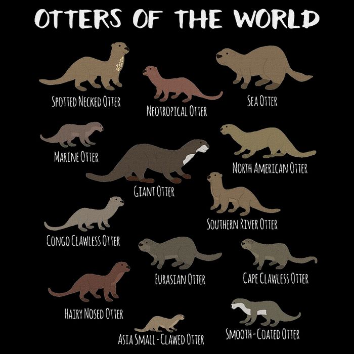 Otters Of The World Sea Otter Giant Otter Educational Gift Cooling Performance Crew T-Shirt