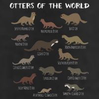 Otters Of The World Sea Otter Giant Otter Educational Gift 11oz C Handle Ceramic Mug