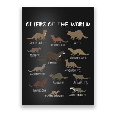Otters Of The World Sea Otter Giant Otter Educational Gift Poster