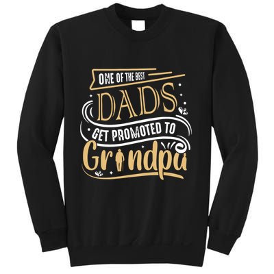 One Of The Best Dad Get Promoted To Grandpa Grandparents Day Sweatshirt