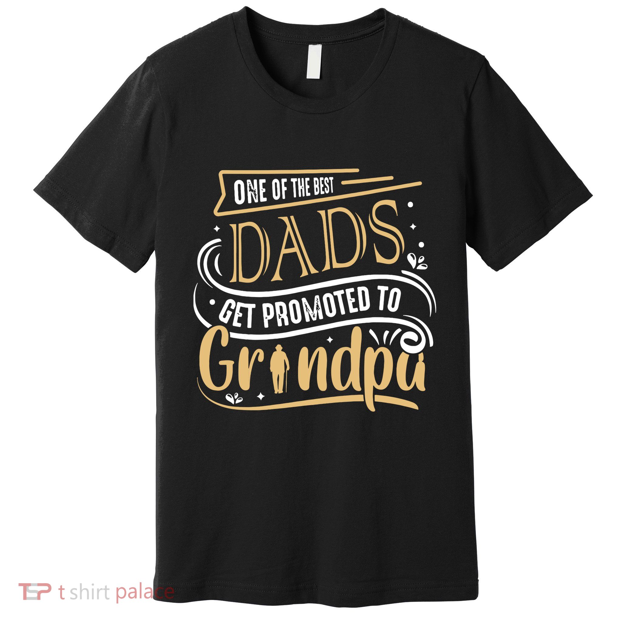 One Of The Best Dad Get Promoted To Grandpa Grandparents Day Premium T-Shirt