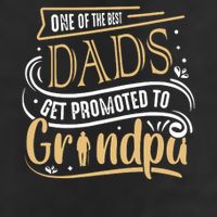 One Of The Best Dad Get Promoted To Grandpa Grandparents Day Golf Towel