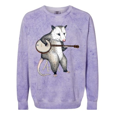 Opossum Playing Banjo Guitar Possum Live Weird Trash Kitty Colorblast Crewneck Sweatshirt