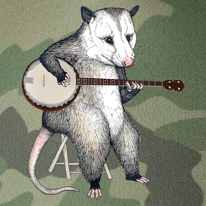 Opossum Playing Banjo Guitar Possum Live Weird Trash Kitty Legacy Tie Dye Trucker Hat