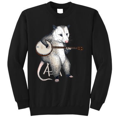 Opossum Playing Banjo Guitar Possum Live Weird Trash Kitty Sweatshirt