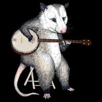 Opossum Playing Banjo Guitar Possum Live Weird Trash Kitty Drawstring Bag