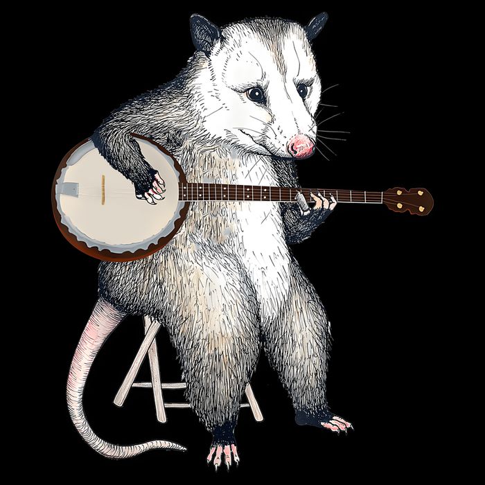 Opossum Playing Banjo Guitar Possum Live Weird Trash Kitty Drawstring Bag
