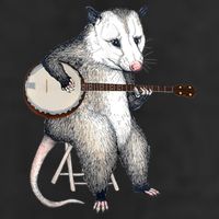 Opossum Playing Banjo Guitar Possum Live Weird Trash Kitty Large Microfiber Waffle Golf Towel