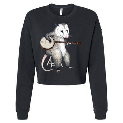 Opossum Playing Banjo Guitar Possum Live Weird Trash Kitty Cropped Pullover Crew