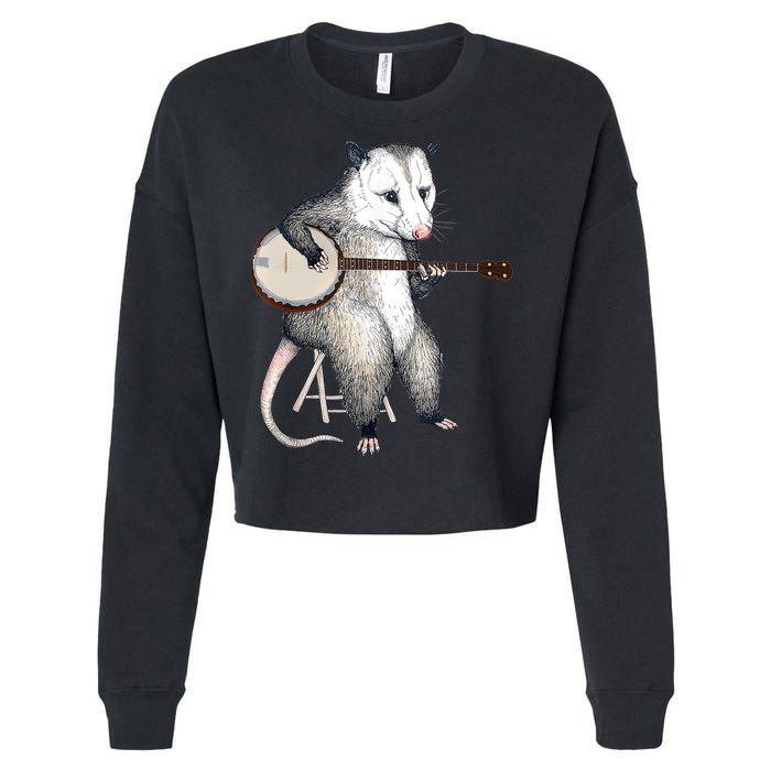 Opossum Playing Banjo Guitar Possum Live Weird Trash Kitty Cropped Pullover Crew