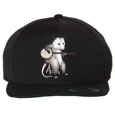Opossum Playing Banjo Guitar Possum Live Weird Trash Kitty Wool Snapback Cap