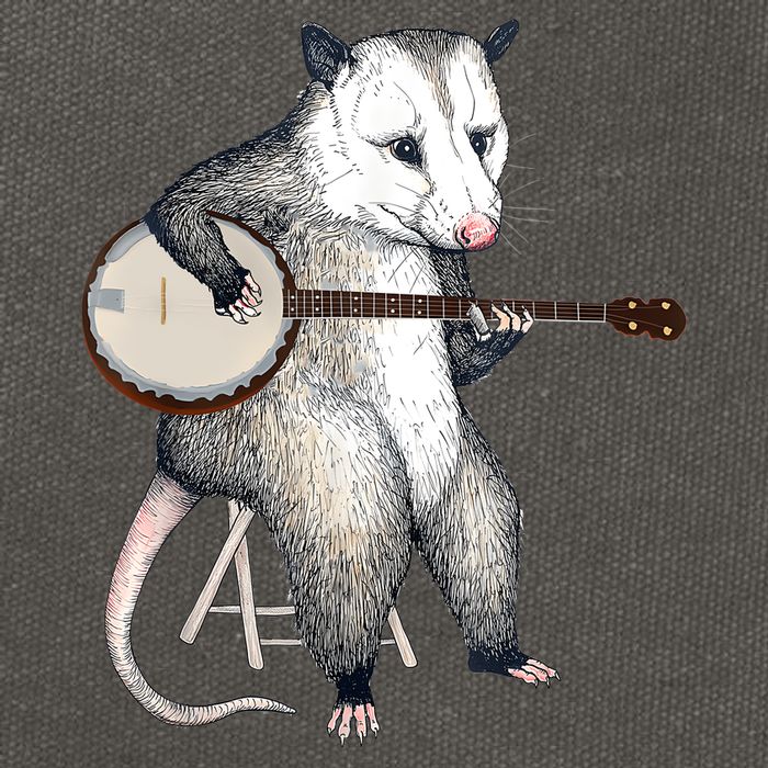 Opossum Playing Banjo Guitar Possum Live Weird Trash Kitty Cotton Canvas Backpack