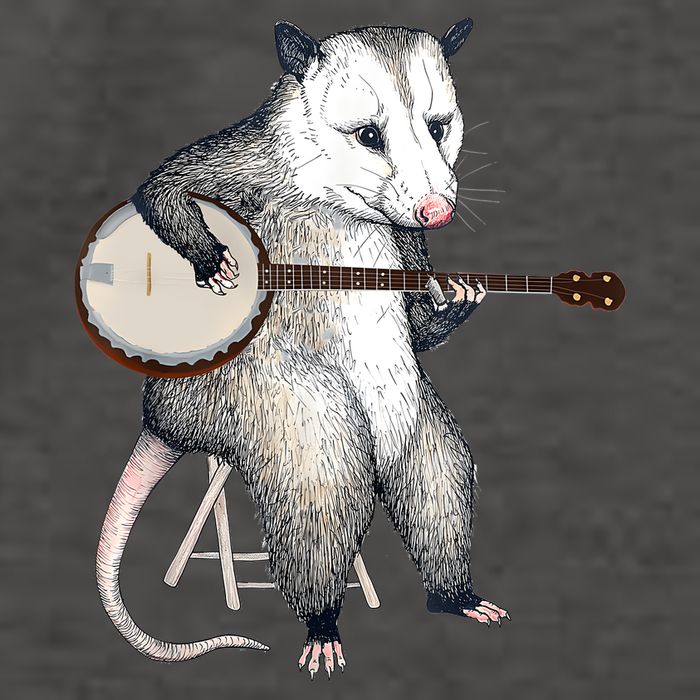 Opossum Playing Banjo Guitar Possum Live Weird Trash Kitty Vector Backpack