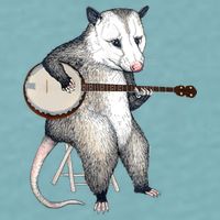 Opossum Playing Banjo Guitar Possum Live Weird Trash Kitty Sueded Cloud Jersey T-Shirt