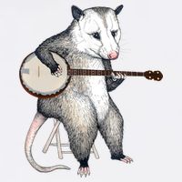 Opossum Playing Banjo Guitar Possum Live Weird Trash Kitty Garment-Dyed Sweatshirt