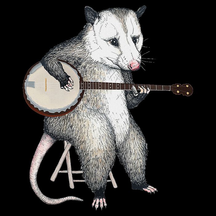 Opossum Playing Banjo Guitar Possum Live Weird Trash Kitty Drawstring Bag