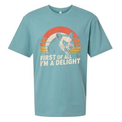 Opossum Possum First Of All IM A Delight Sarcastic Angry Sueded Cloud Jersey T-Shirt