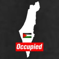 Occupied Palestine Free Gaza Funny Gift 7 Panel Mesh Trucker Snapback Hat