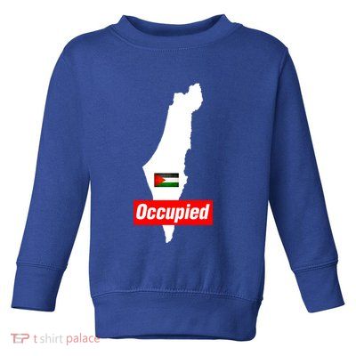 Occupied Palestine Free Gaza Funny Gift Toddler Sweatshirt